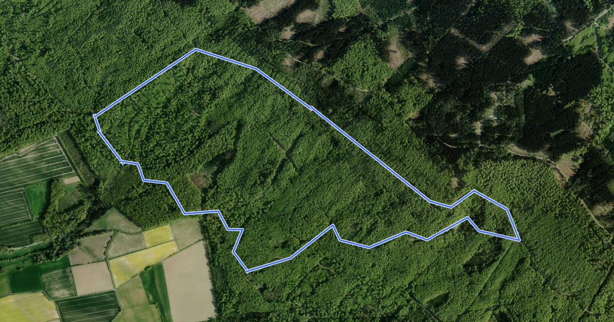 Маршрут L2 Rundwanderweg Lauenau Nr. 2 на спутниковом снимке
