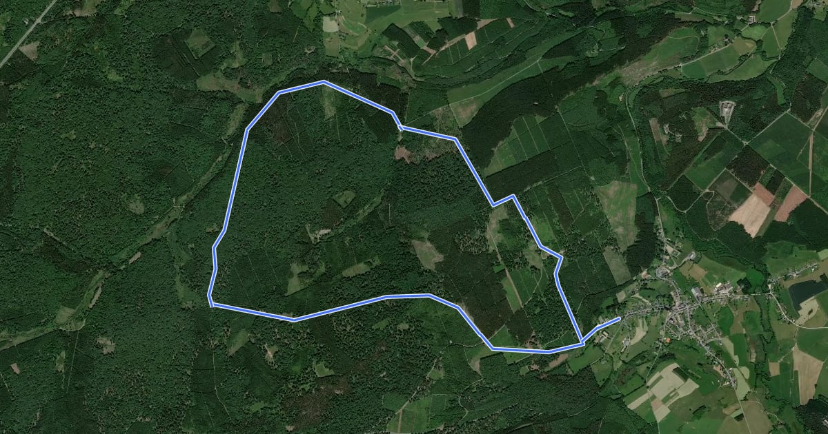 Маршрут L3. Promenade de la Fagne du Golet на спутниковом снимке