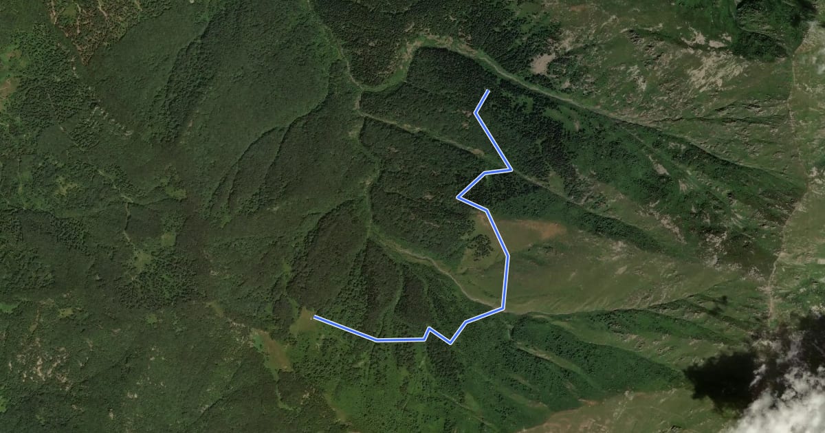 Маршрут L38 на спутниковом снимке