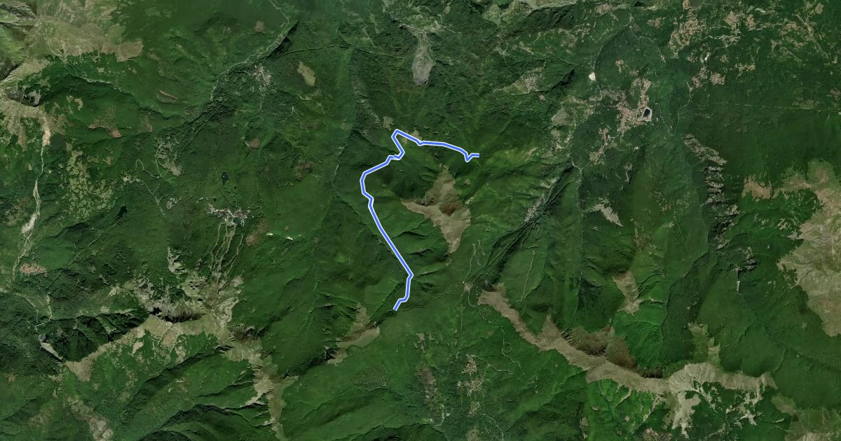 Маршрут La Buca - Il Quartiere - Il Bottaccio - Passo di Cavorsella на спутниковом снимке