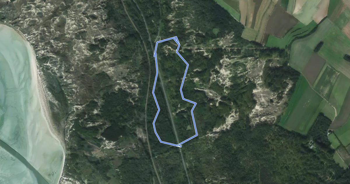 Маршрут La Butte aux Signaux на спутниковом снимке