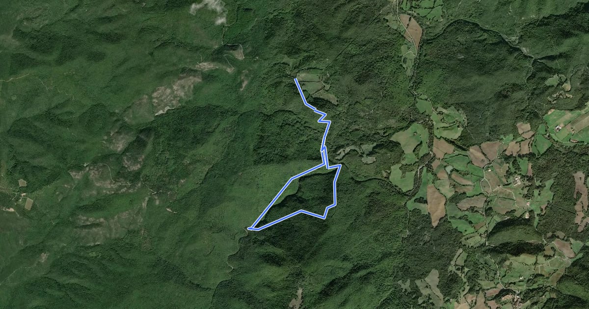 Маршрут La cascata di Caselli e la foresta di Renzano на спутниковом снимке