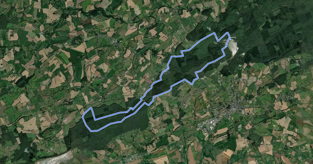 Маршрут La Chapelle de Lamarre - Circuit n°6 - Base VTT FFCT de Sillé-le-Guillaume на спутниковом снимке