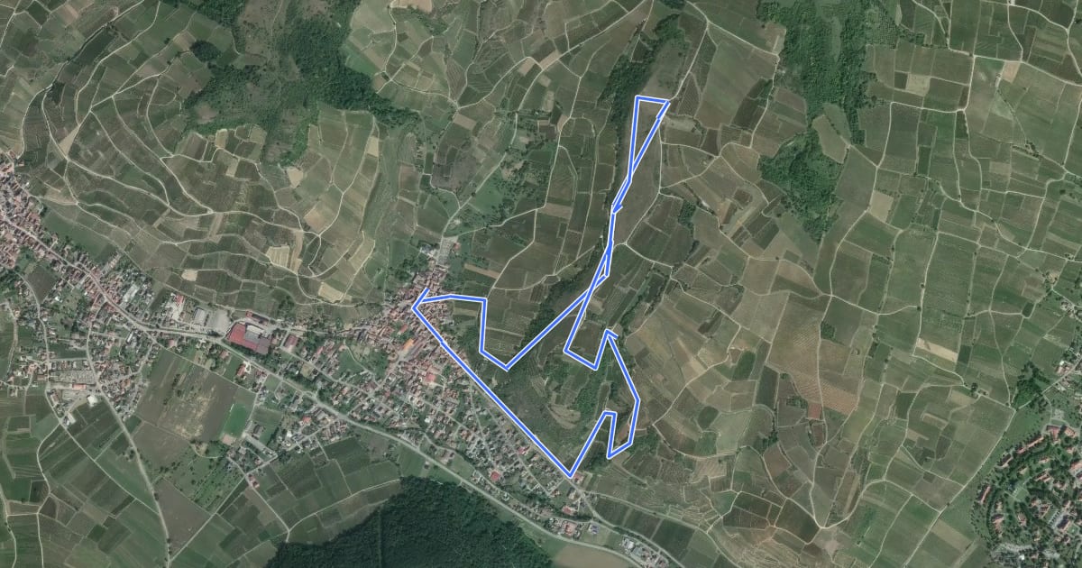 Маршрут La Colline sèche du Strangenberg на спутниковом снимке