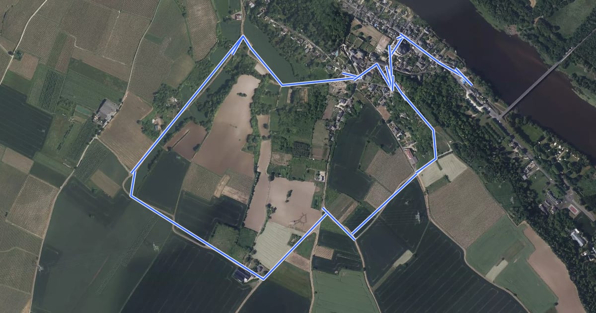 Маршрут À la Confluence Loire et Vienne - Candes-Saint-Martin на спутниковом снимке