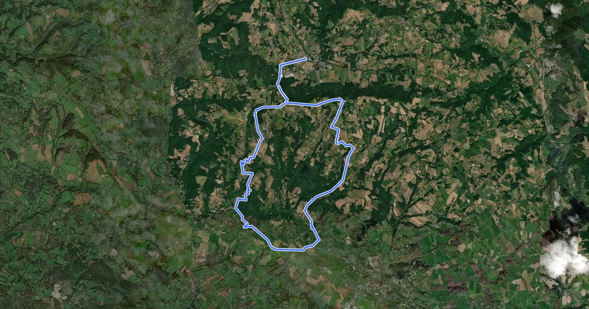 Маршрут À la découverte de la forêt на спутниковом снимке