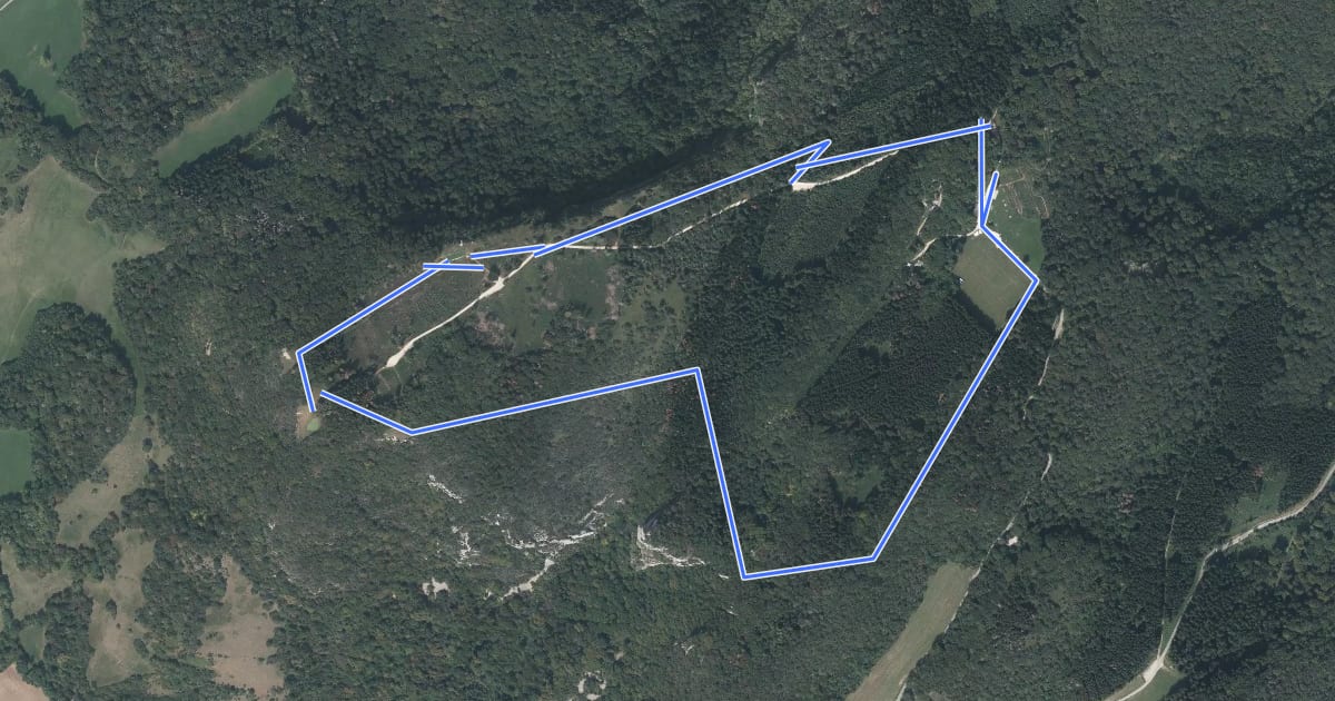 Маршрут La Forêt на спутниковом снимке