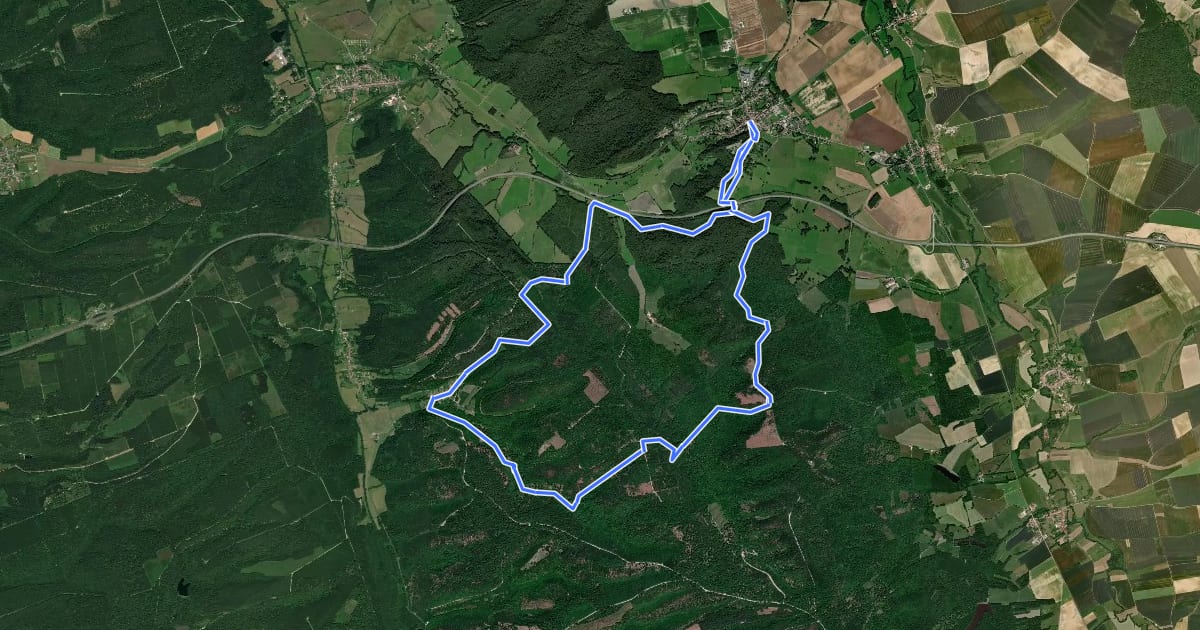 Маршрут La Forêt Argonnaise на спутниковом снимке