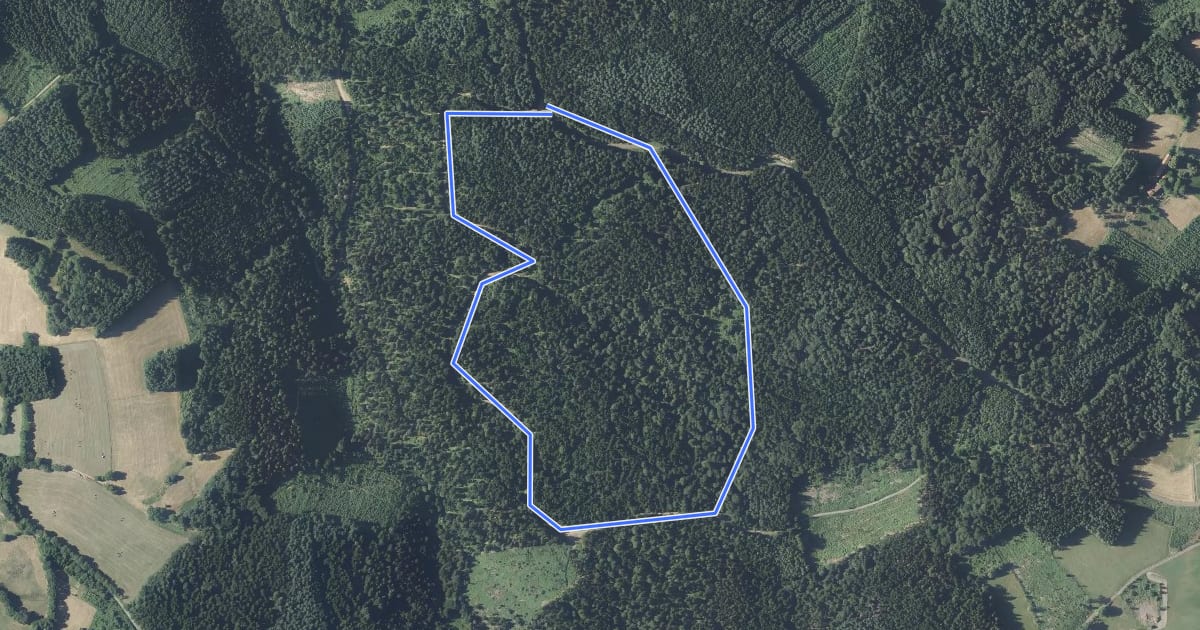 Маршрут La Forêt d'Ailloux на спутниковом снимке