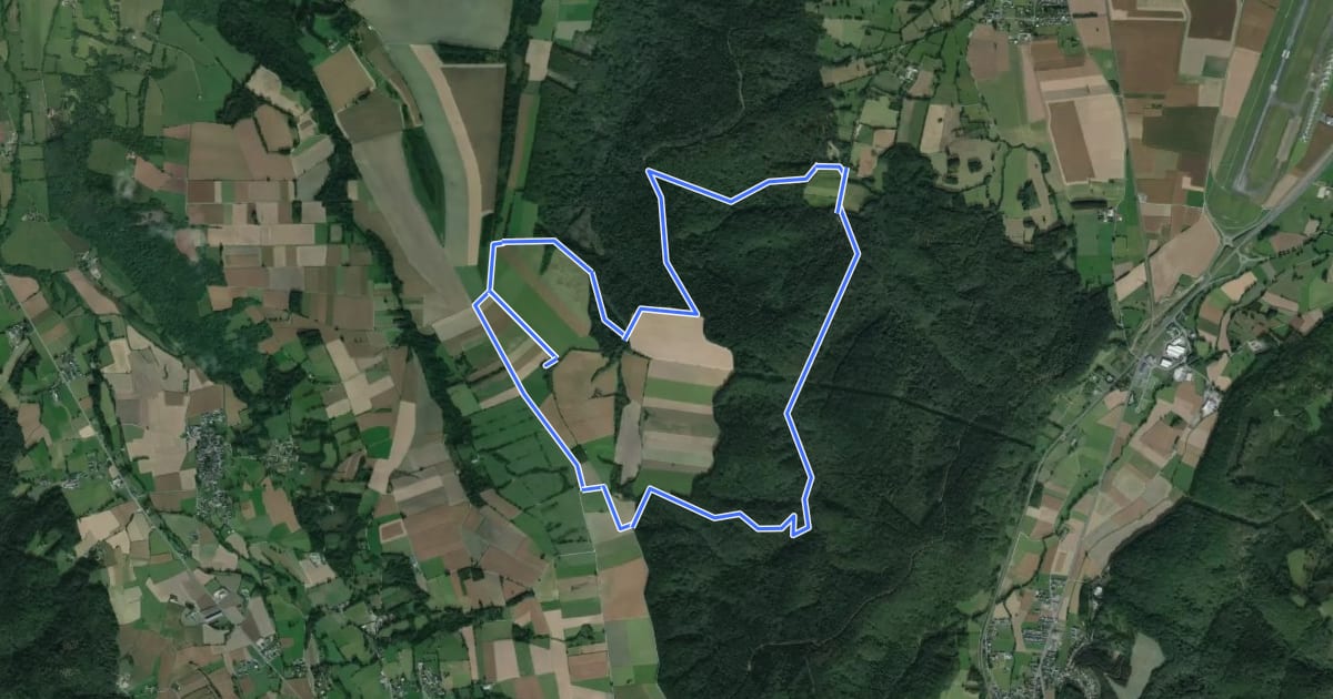 Маршрут La Forêt d'Ossun на спутниковом снимке