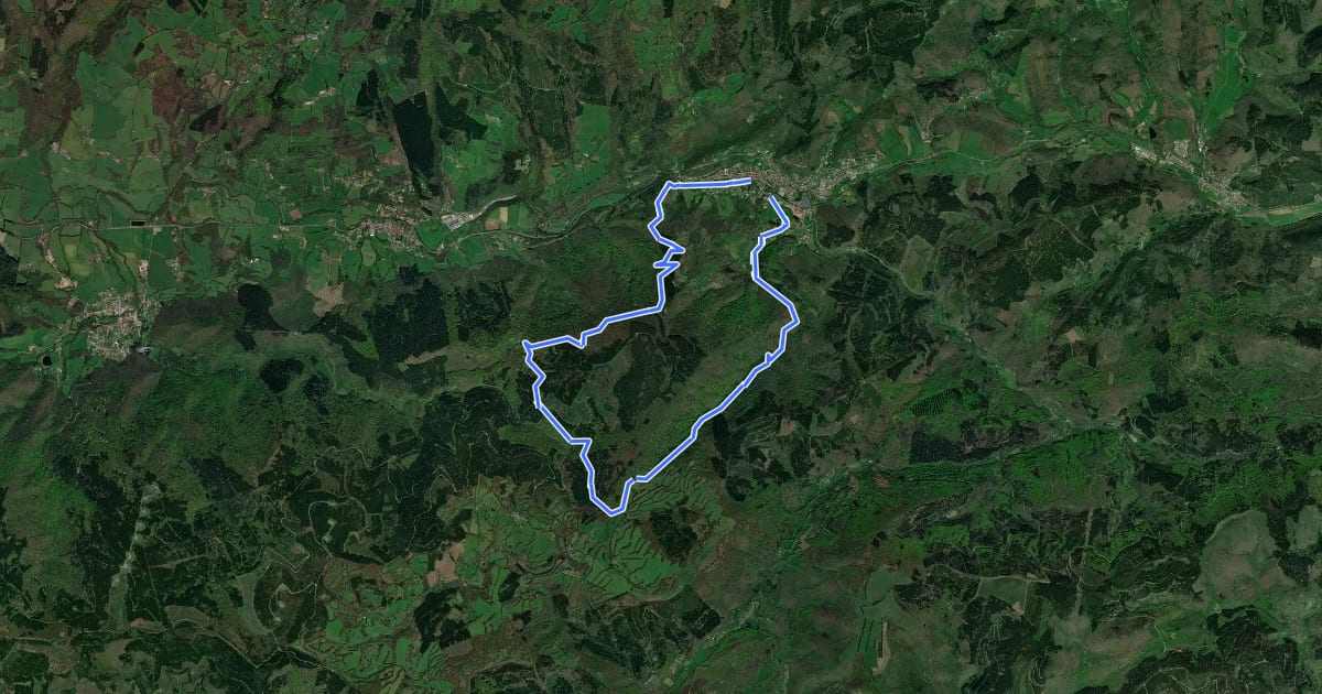 Маршрут La forêt de Beson на спутниковом снимке