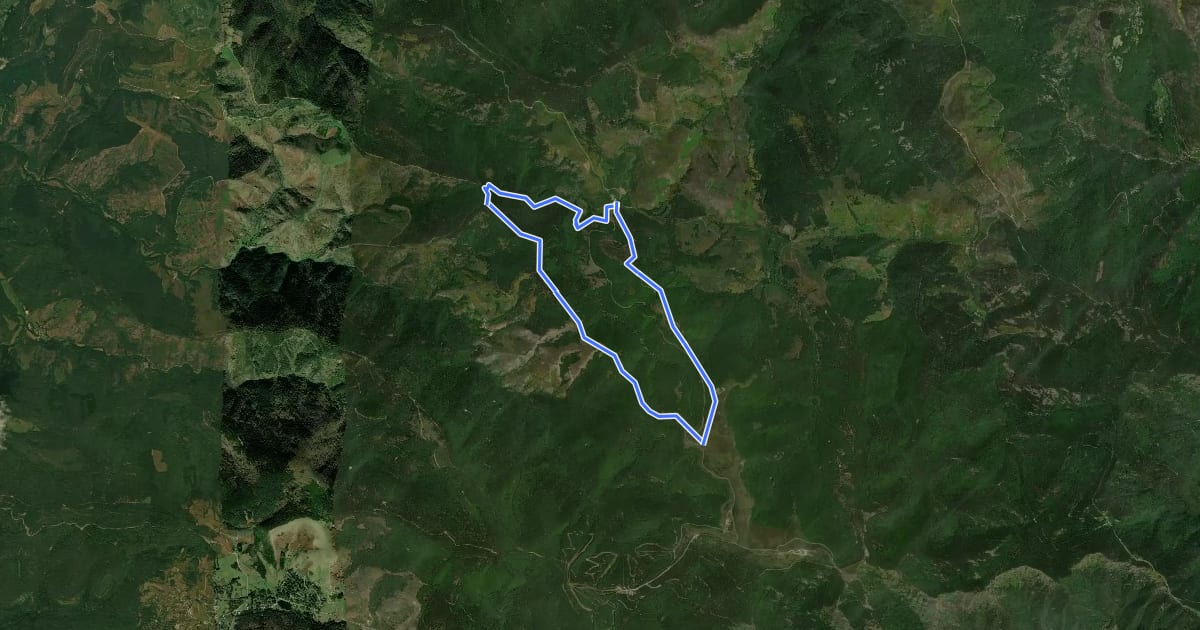 Маршрут La forêt de l'Aigoual на спутниковом снимке