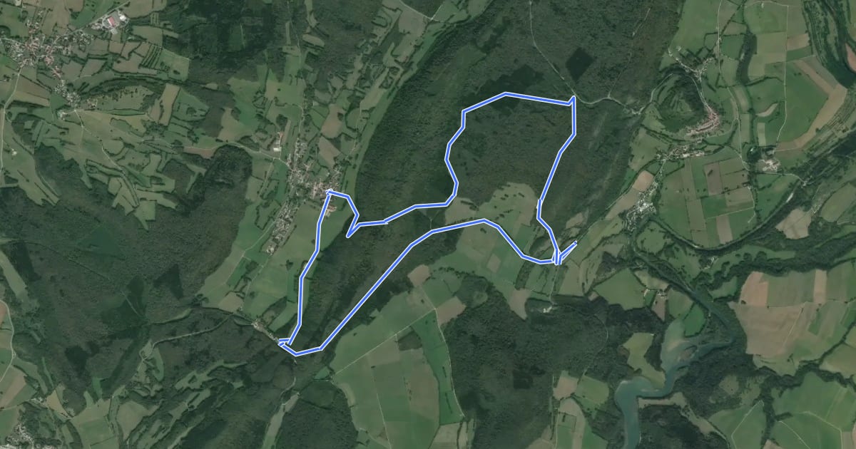 Маршрут La forêt de l'Heute на спутниковом снимке