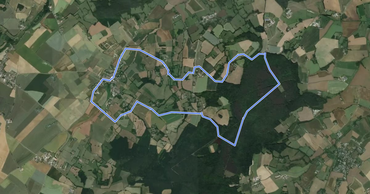 Маршрут La forêt de Mézières - circuit n°3 на спутниковом снимке