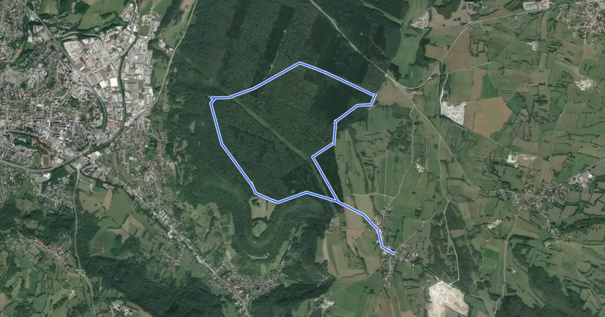 Маршрут La forêt de Perrigny на спутниковом снимке