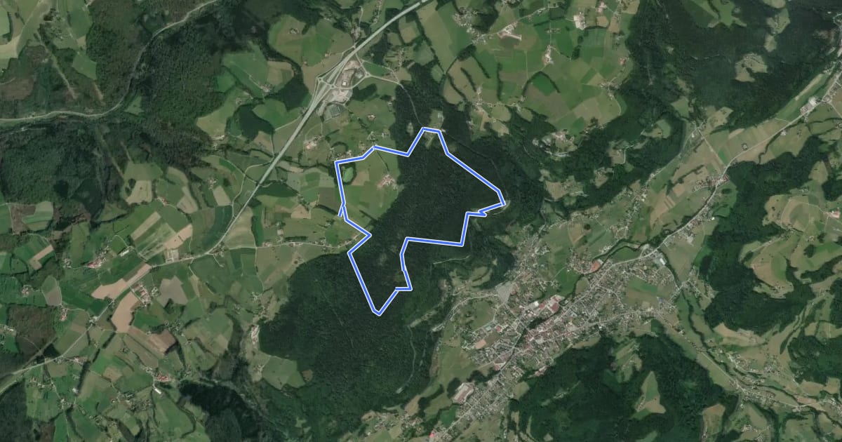 Маршрут La forêt du Chanot на спутниковом снимке