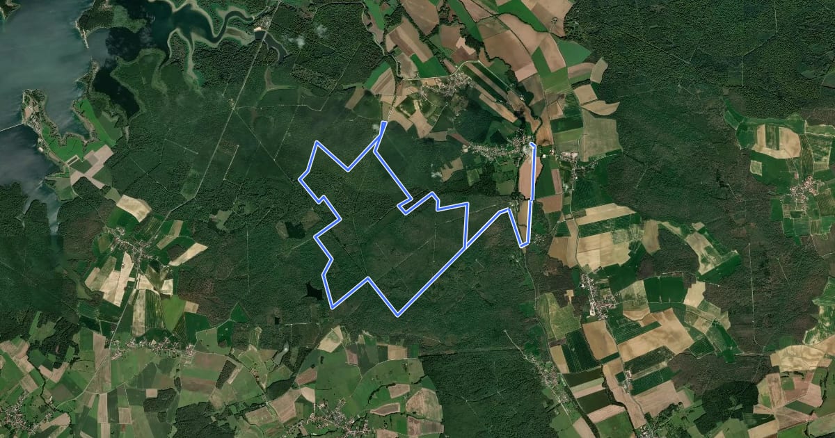 Маршрут La Forêt du Der на спутниковом снимке