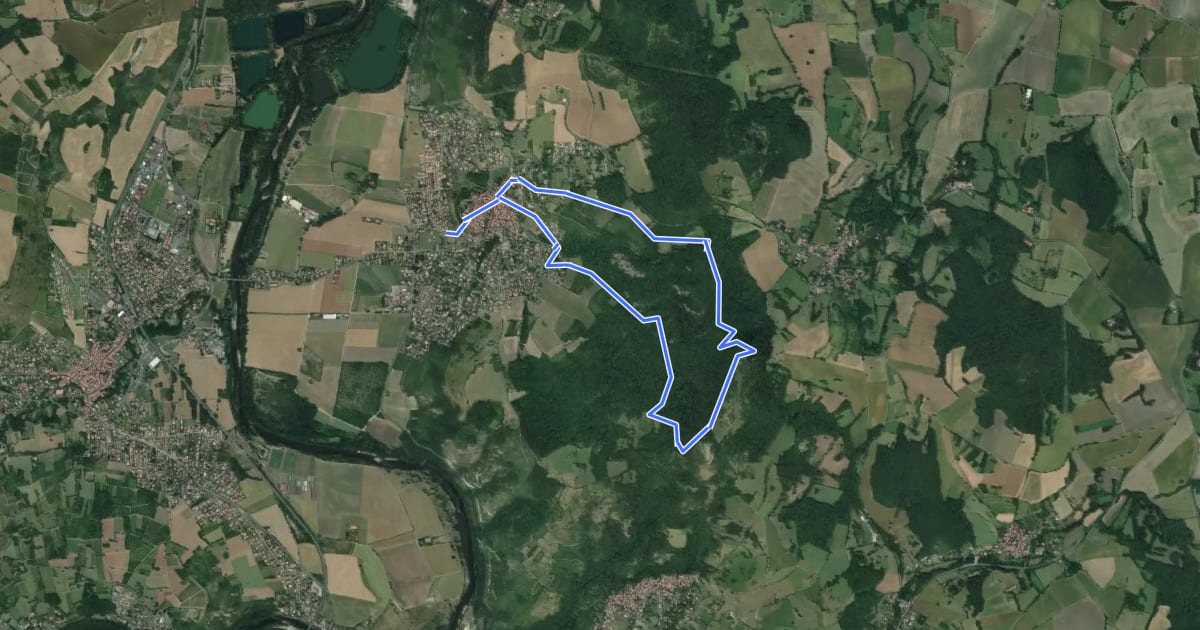 Маршрут La Forêt du Puy Saint-Romain на спутниковом снимке