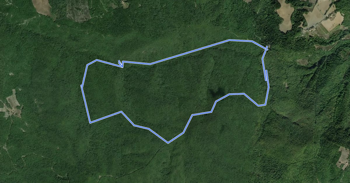 Маршрут La Foresta di Tatti на спутниковом снимке