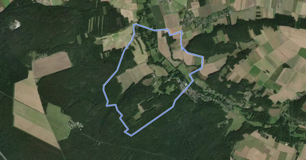 Маршрут La foret de Nanteau на спутниковом снимке