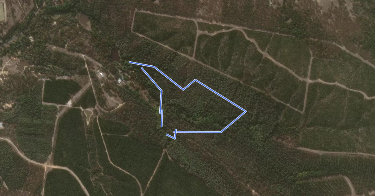 Маршрут La Gerche Forest Walk на спутниковом снимке