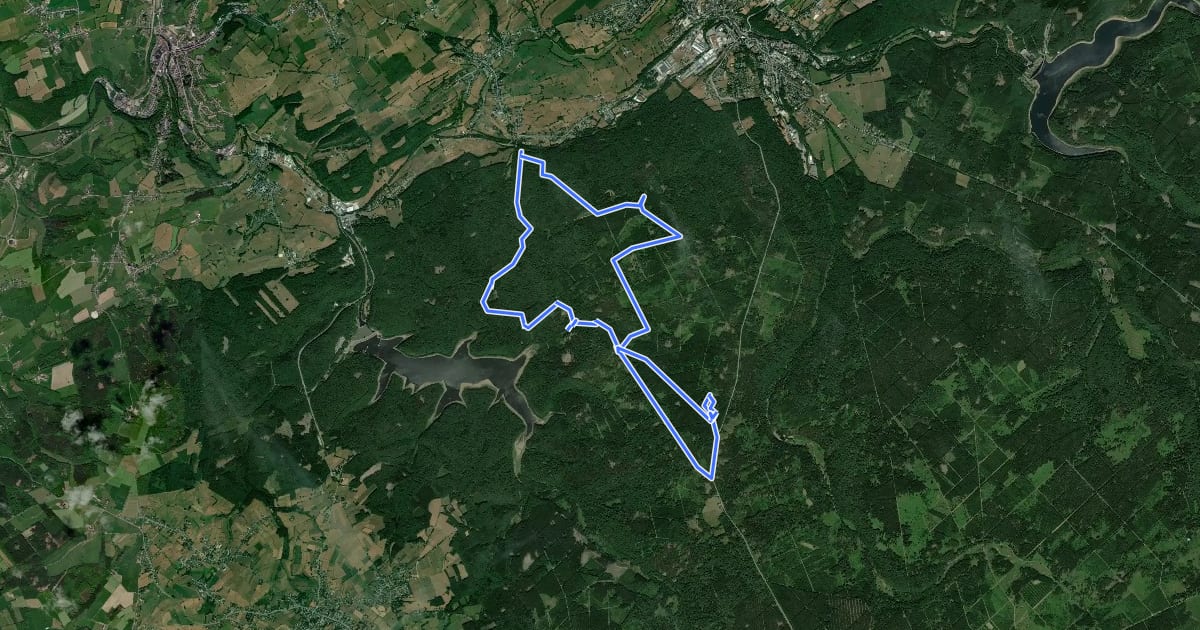 Маршрут La Montagne du Dragon на спутниковом снимке