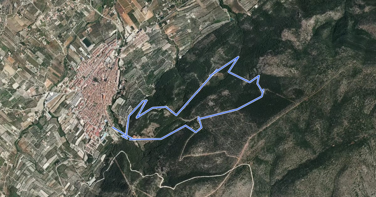 Маршрут La Mota - Castillo - Fuente Lucena на спутниковом снимке