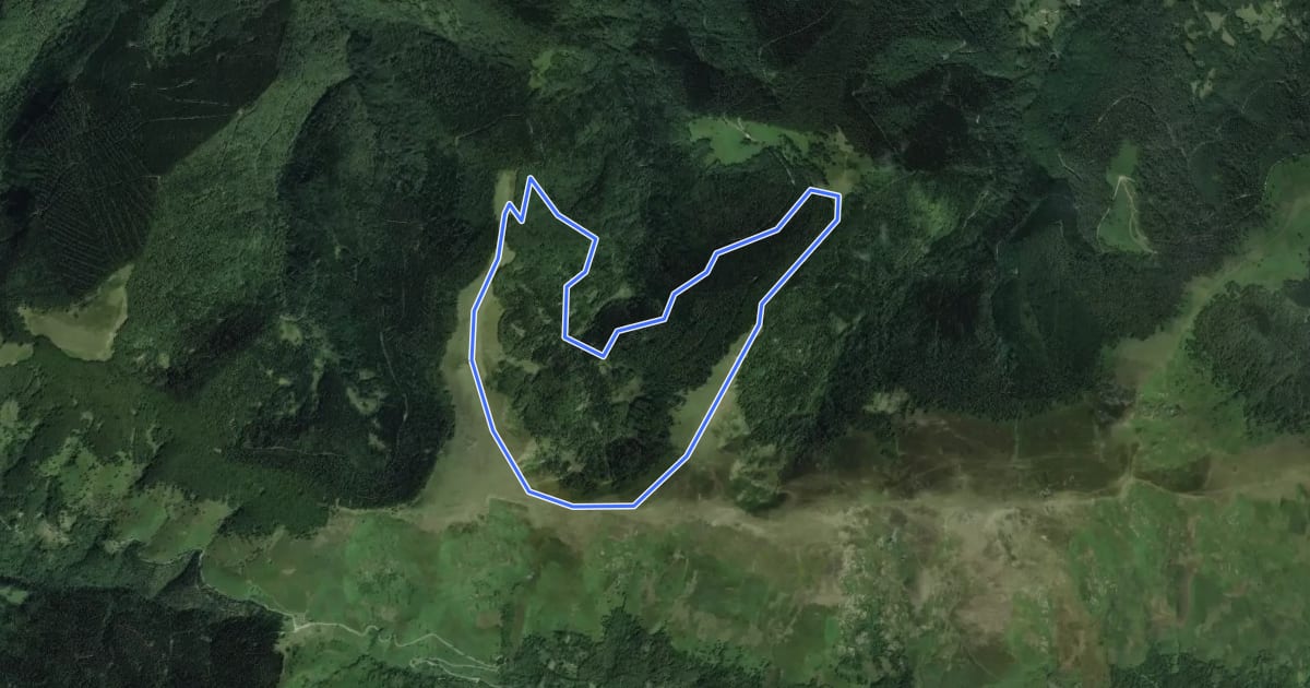Маршрут La Pastorale en Barguillère на спутниковом снимке