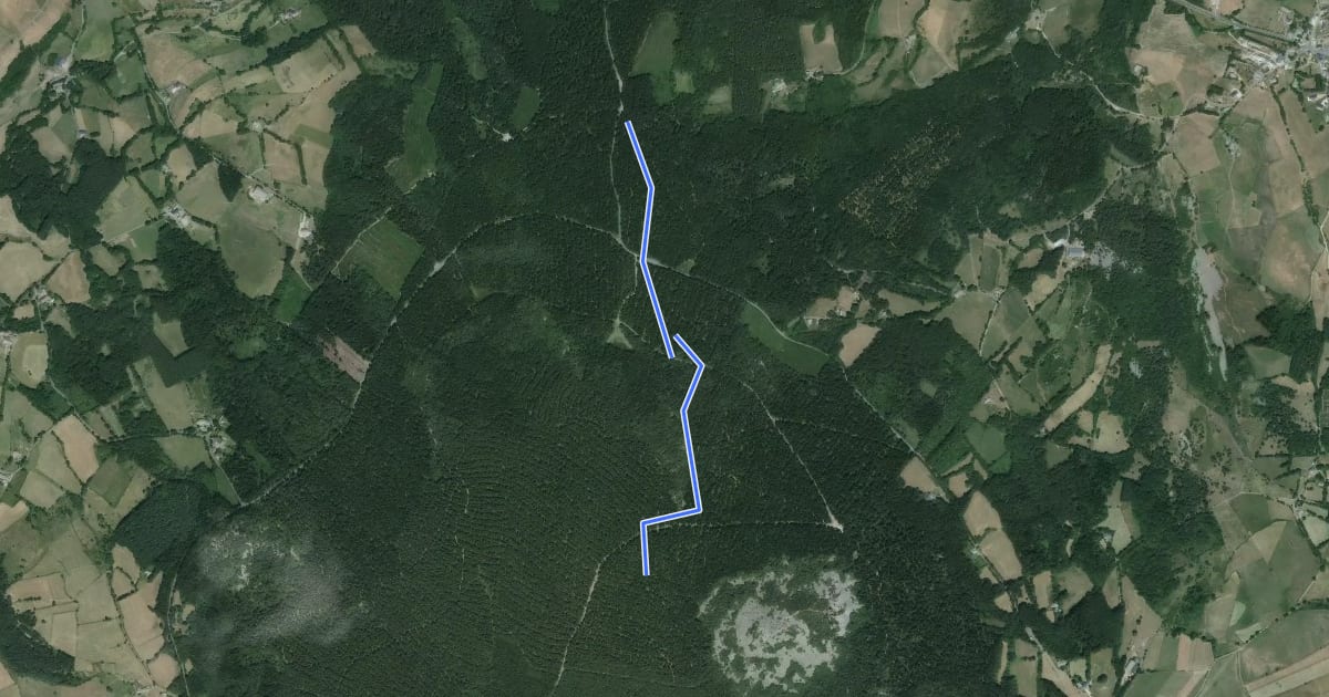Маршрут La Pelle de la Forêt на спутниковом снимке