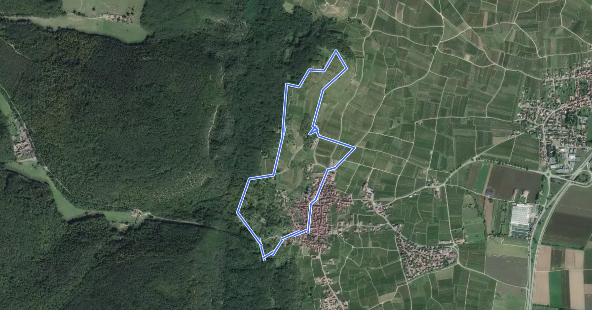 Маршрут La promenade du Grand Cru Goldert на спутниковом снимке