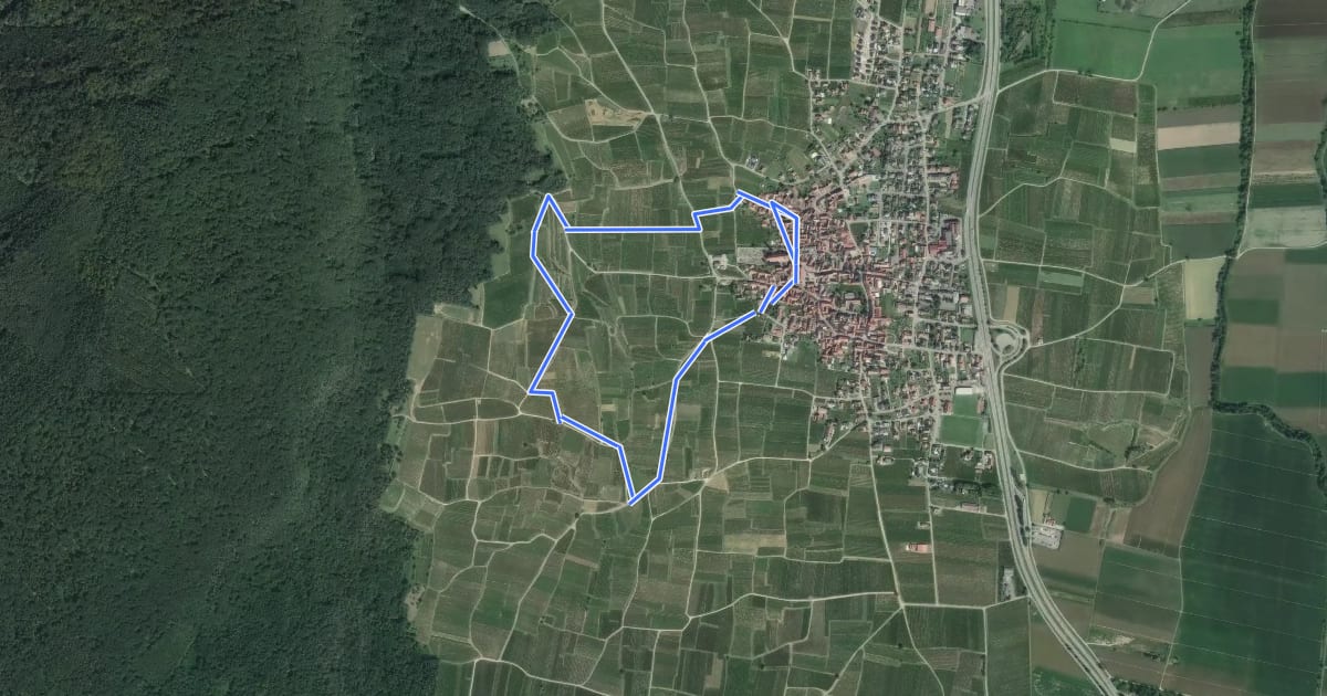 Маршрут La promenade du Grand Cru Steinert на спутниковом снимке