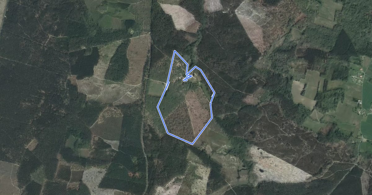 Маршрут La Réunion - La Taillade, vacances dans les bois de la Réunion - 3.4 km на спутниковом снимке