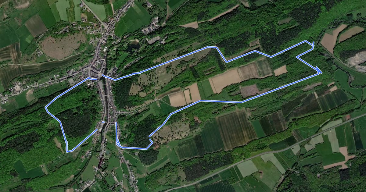 Маршрут La Roche aux Faucons на спутниковом снимке