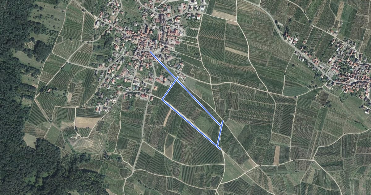 Маршрут La Roseraie du Hatschbourg на спутниковом снимке