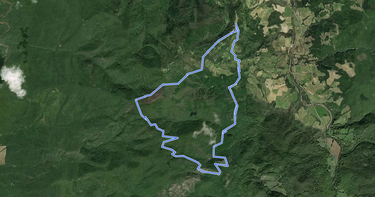 Маршрут La Sassa, la foresta di Caselli e la macchia della Magona на спутниковом снимке