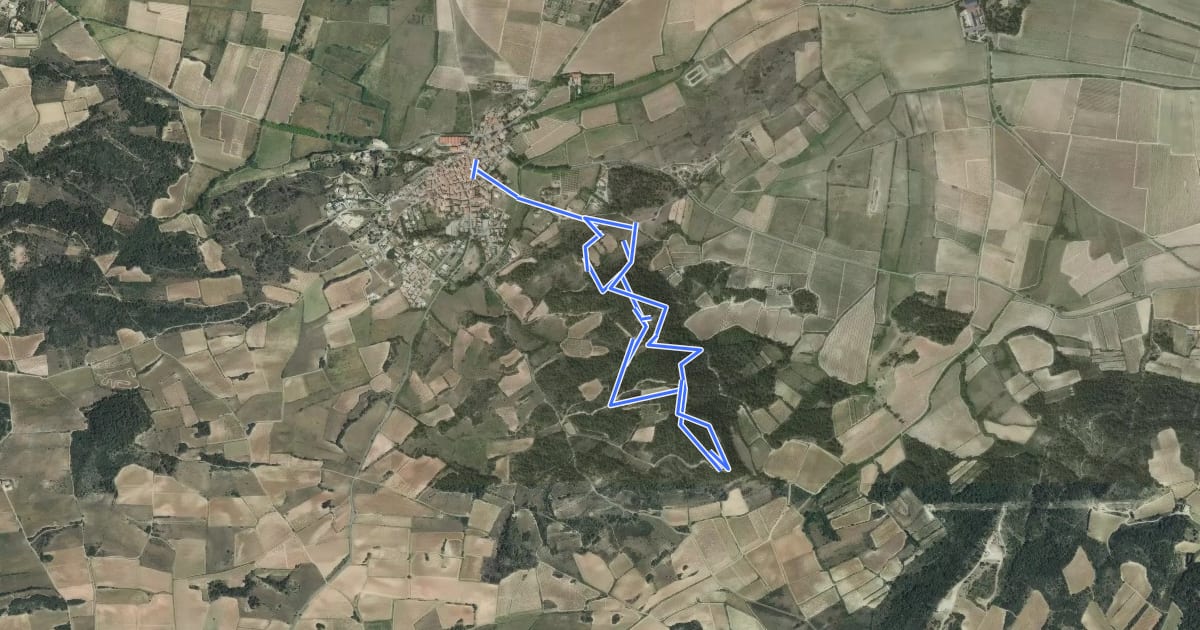 Маршрут La Tour на спутниковом снимке