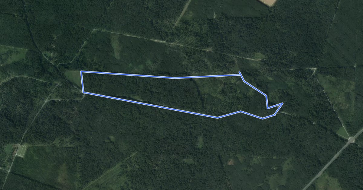 Маршрут La Tour d'Observation du Général Mangin на спутниковом снимке