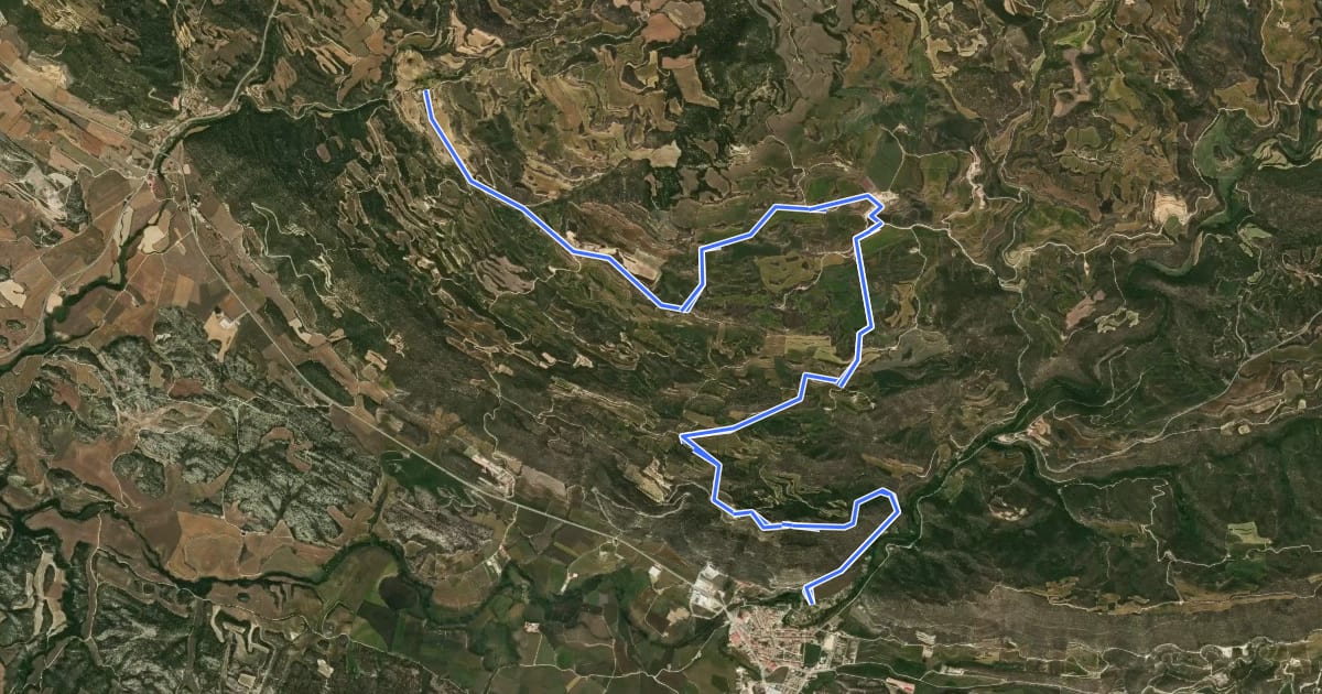 Маршрут La Vall del Llobregós.Variant Torà - Mas Mesquita на спутниковом снимке
