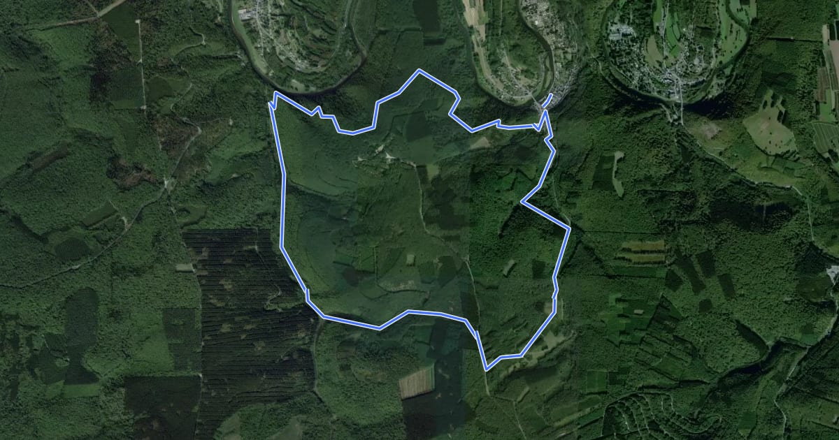Маршрут La Vallée des Baraques на спутниковом снимке