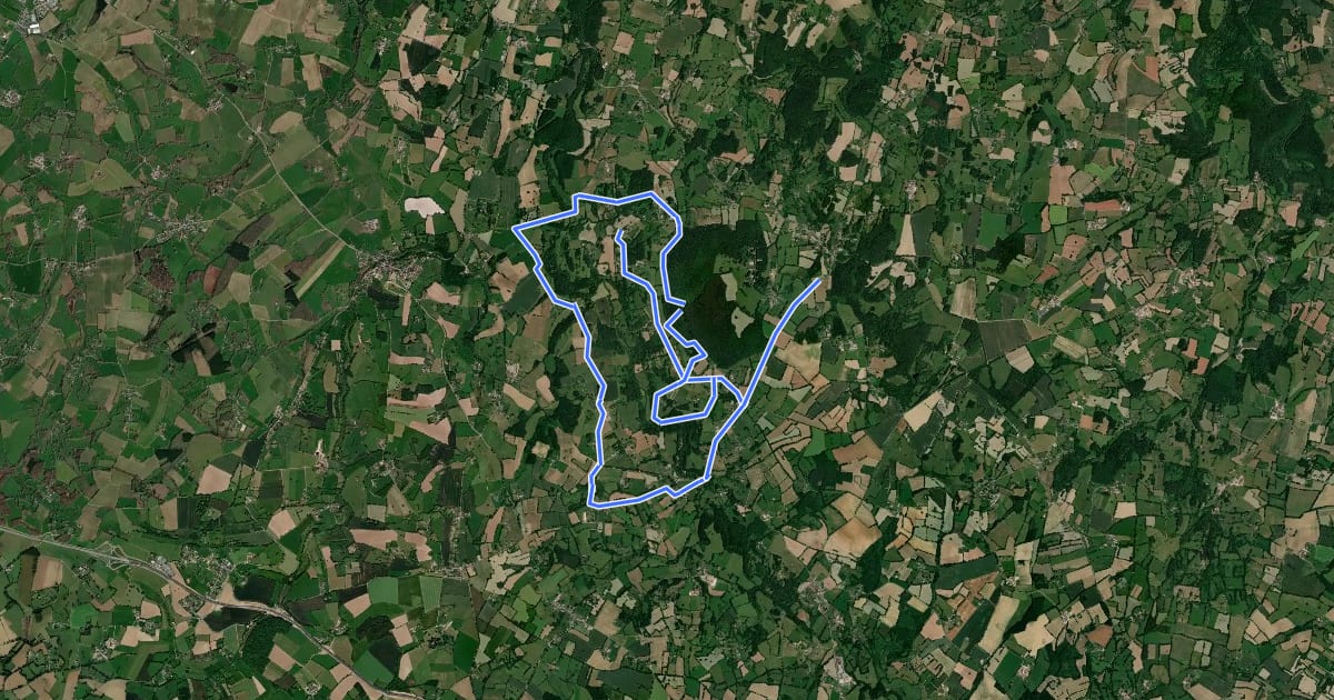 Маршрут La Vallée des Moulins на спутниковом снимке