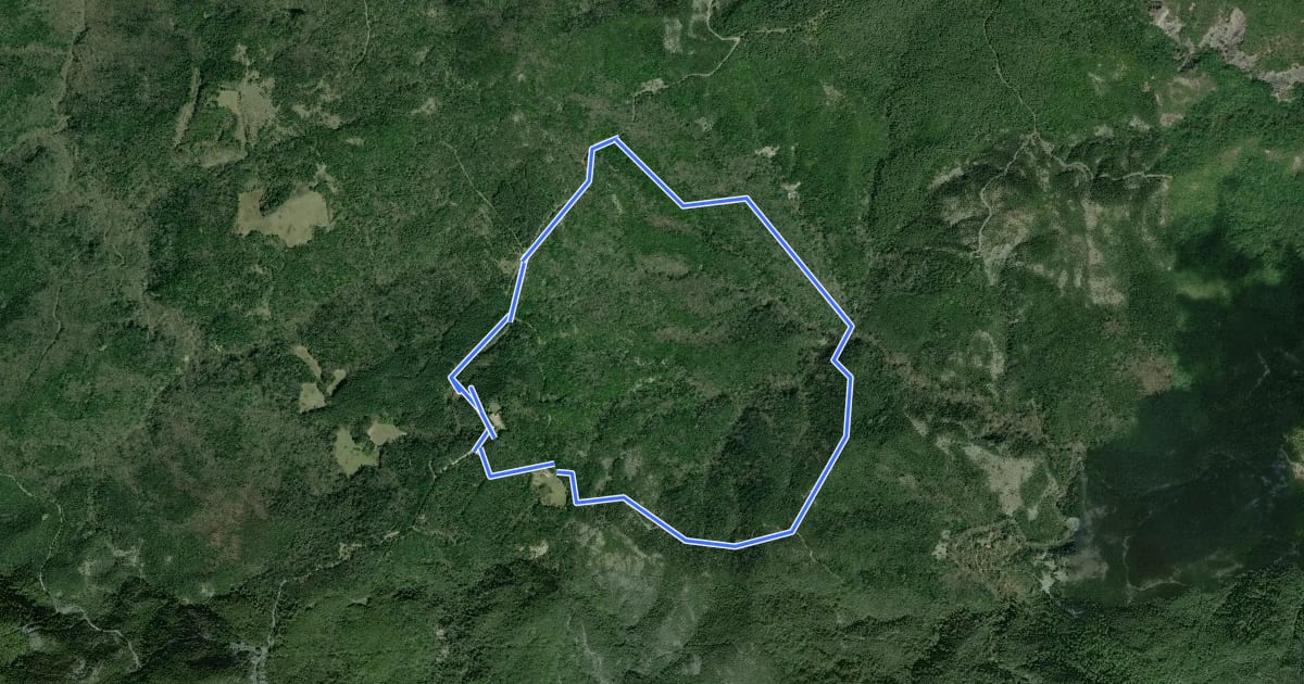 Маршрут La villa di Monterufoli e la valle del Linari на спутниковом снимке