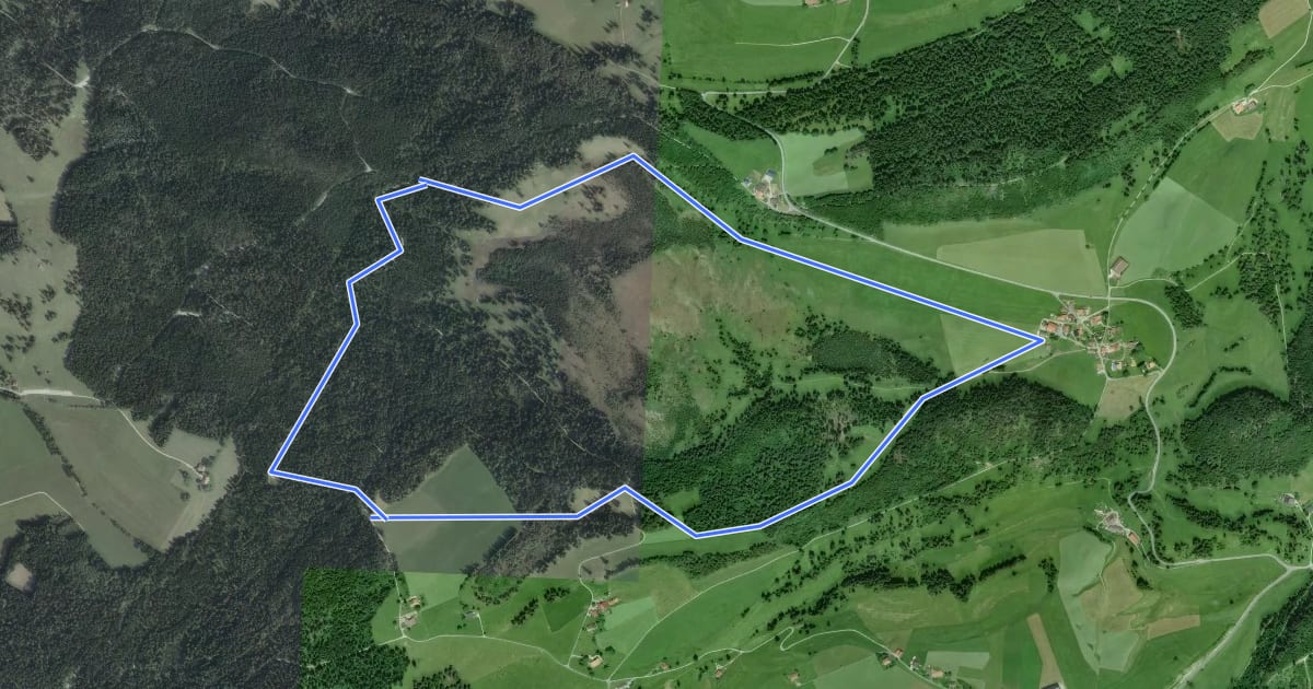 Маршрут La Vraconnaz на спутниковом снимке