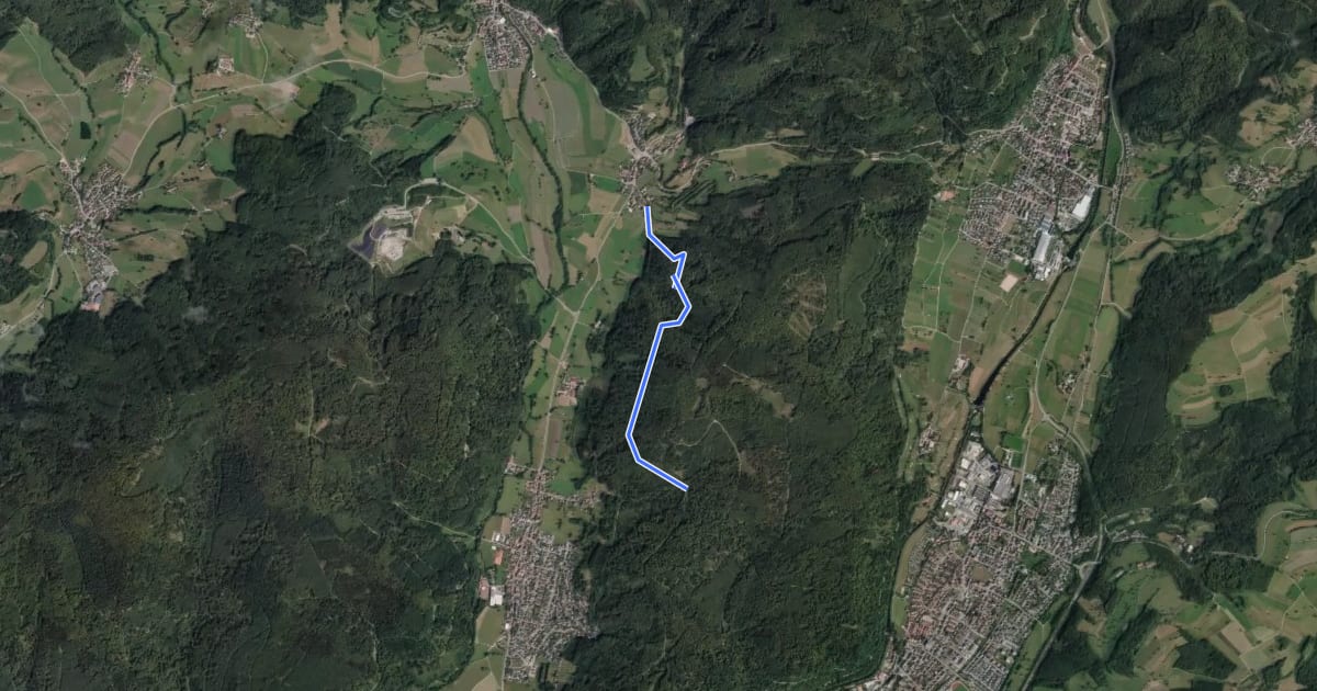 Маршрут Lachsgrabenweg - Dachsgrabenbrünnli на спутниковом снимке