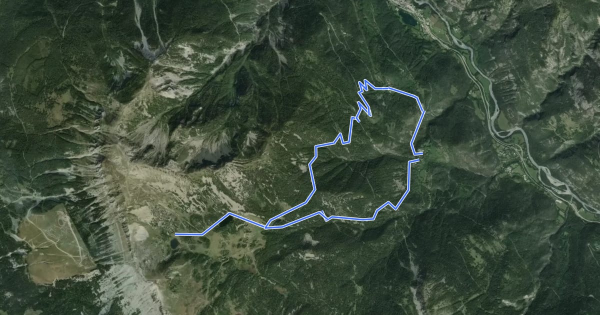 Маршрут Lacs du Col Bas (Par le Lauzet) на спутниковом снимке
