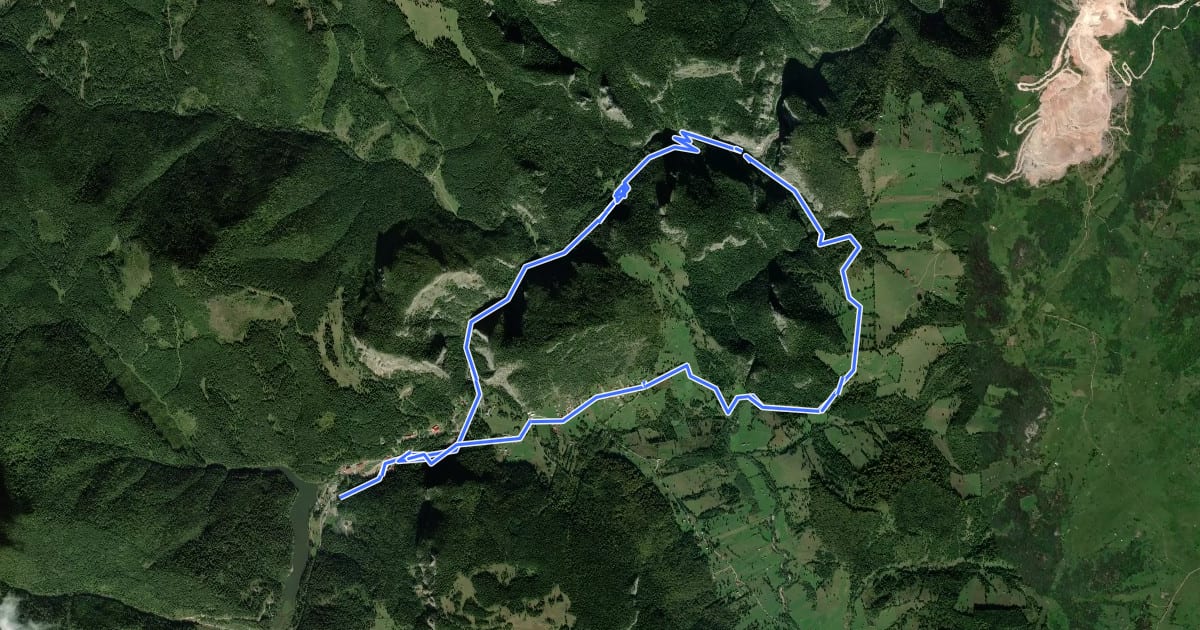 Маршрут Lacu Roșu – Cheile Bicazului (Podul Ungurilor) – Cheile Bicăjelului – Lacu Roșu (yellow stripe) на спутниковом снимке