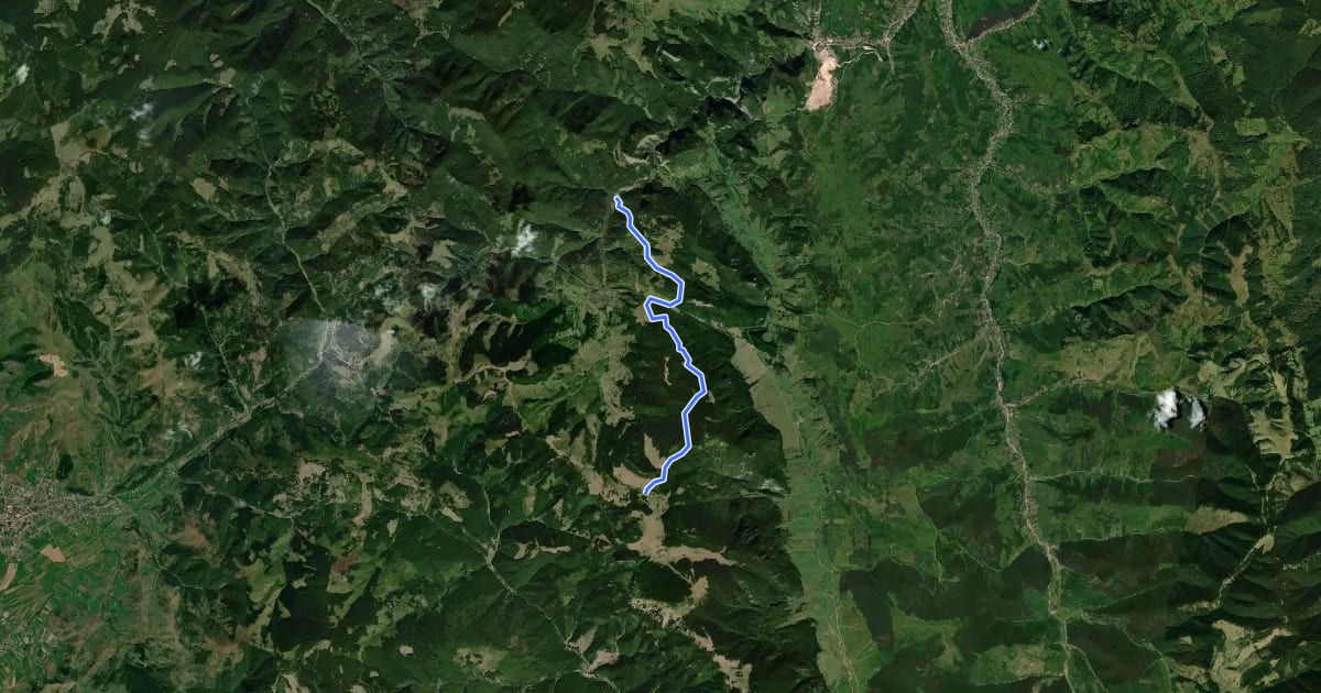 Маршрут Lacu Roșu – Culmea lui Paleu – sub Poiana Albă (blue dot) на спутниковом снимке