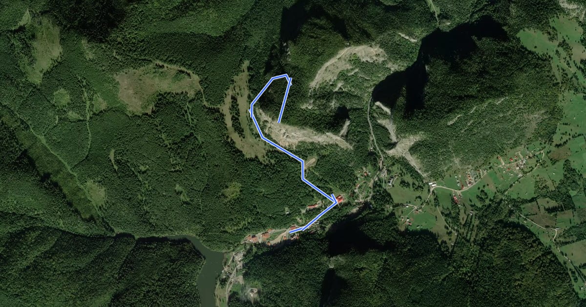 Маршрут Lacu Roșu – Vf. Suhardul Mic (blue triangle) на спутниковом снимке