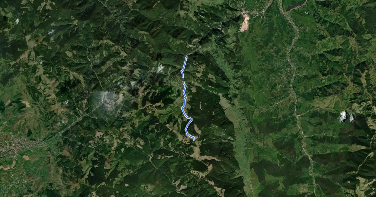 Маршрут Lacul Roșu – Valea Oii – sub Poiana Albă (blue stripe) на спутниковом снимке