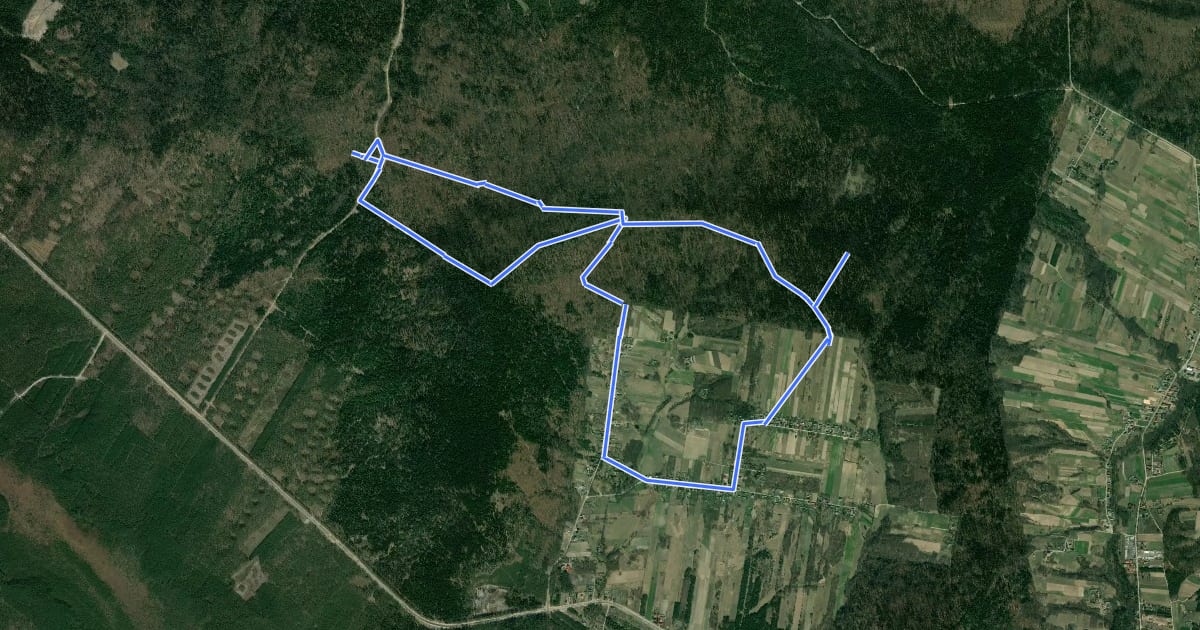 Маршрут Śladem Wybranieckich (Czas w Las) на спутниковом снимке