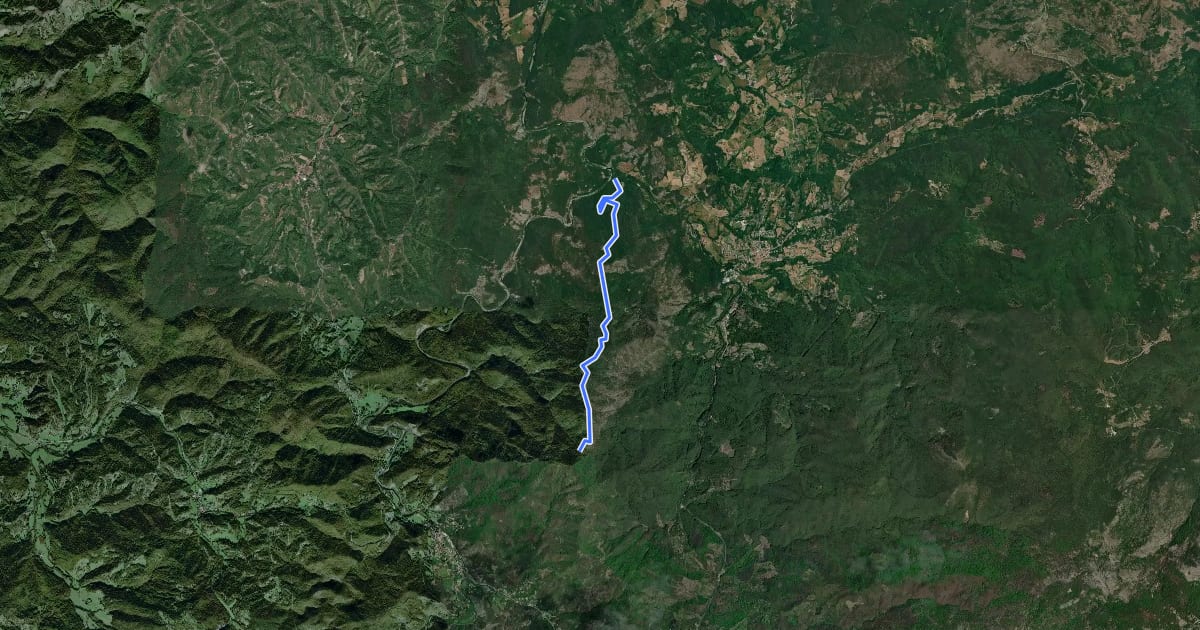 Маршрут Lago dei Gulli - Passo Caghetta - Cima Deiva - Passo Salmaceto на спутниковом снимке